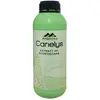 Canelys
