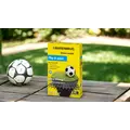 Seminte gazon premium Barenbrug RPR Lawn