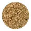 Ingrasamant Osmocote START 1-1.5 luni, 11-11-17+2MgO, 25 kg - 2