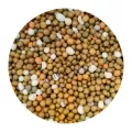 Ingrasamant profesional, 25 kg, Osmocote Pro 19+09+10-2MgO-ME, 5-6 luni