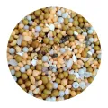 Osmocote TopDress 19-06-11+2MgO, 5-6 luni - granule