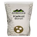 Kelkat-Bor