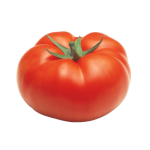 fungicide tomate