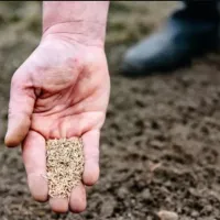 cultivarea plantelor in gradina ta
