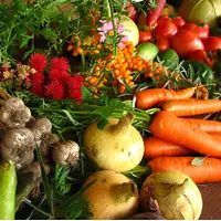 insecticide bio pentru legume