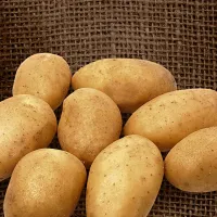 Cartof