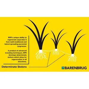 Barenbrug Shadow 15 kg_1
