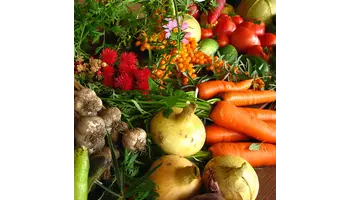 insecticide bio pentru legume