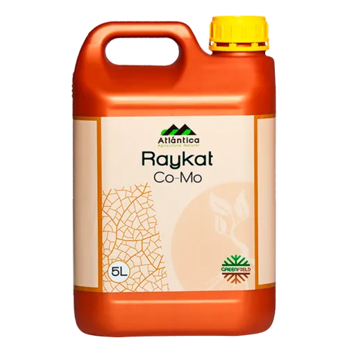 Raykat CoMo
