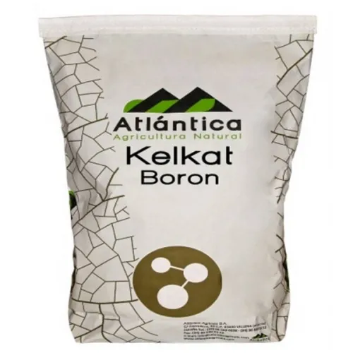 Kelkat-Bor