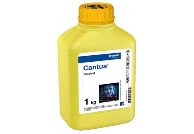 Cantus, 1 kg