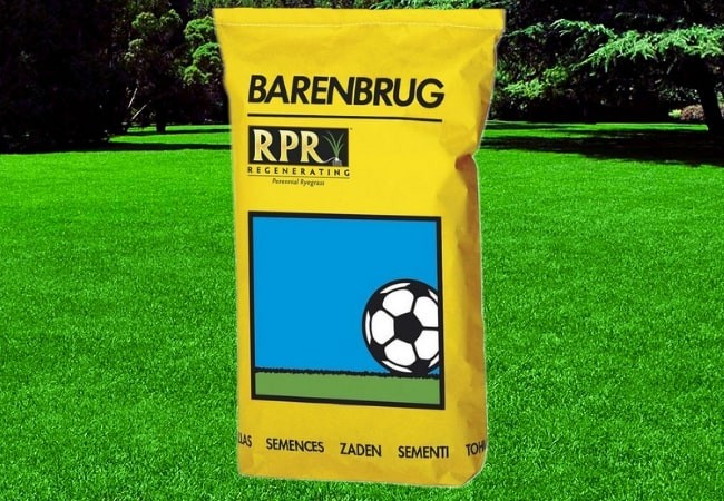 Barenbrug RPR Sport
